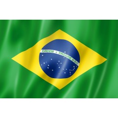 Бразильский флаг