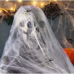 Паутина белая с 2 пауками