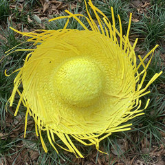 Гавайская шляпа желтая
